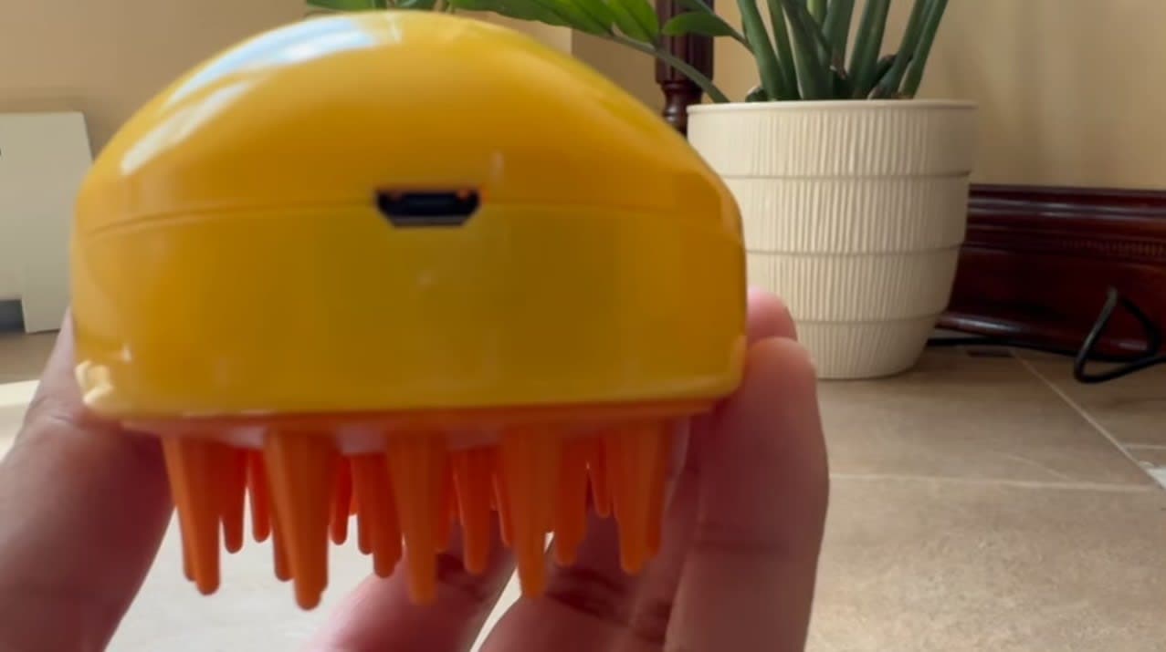 Escova a Vapor para Pets 3 em 1 - Image 4